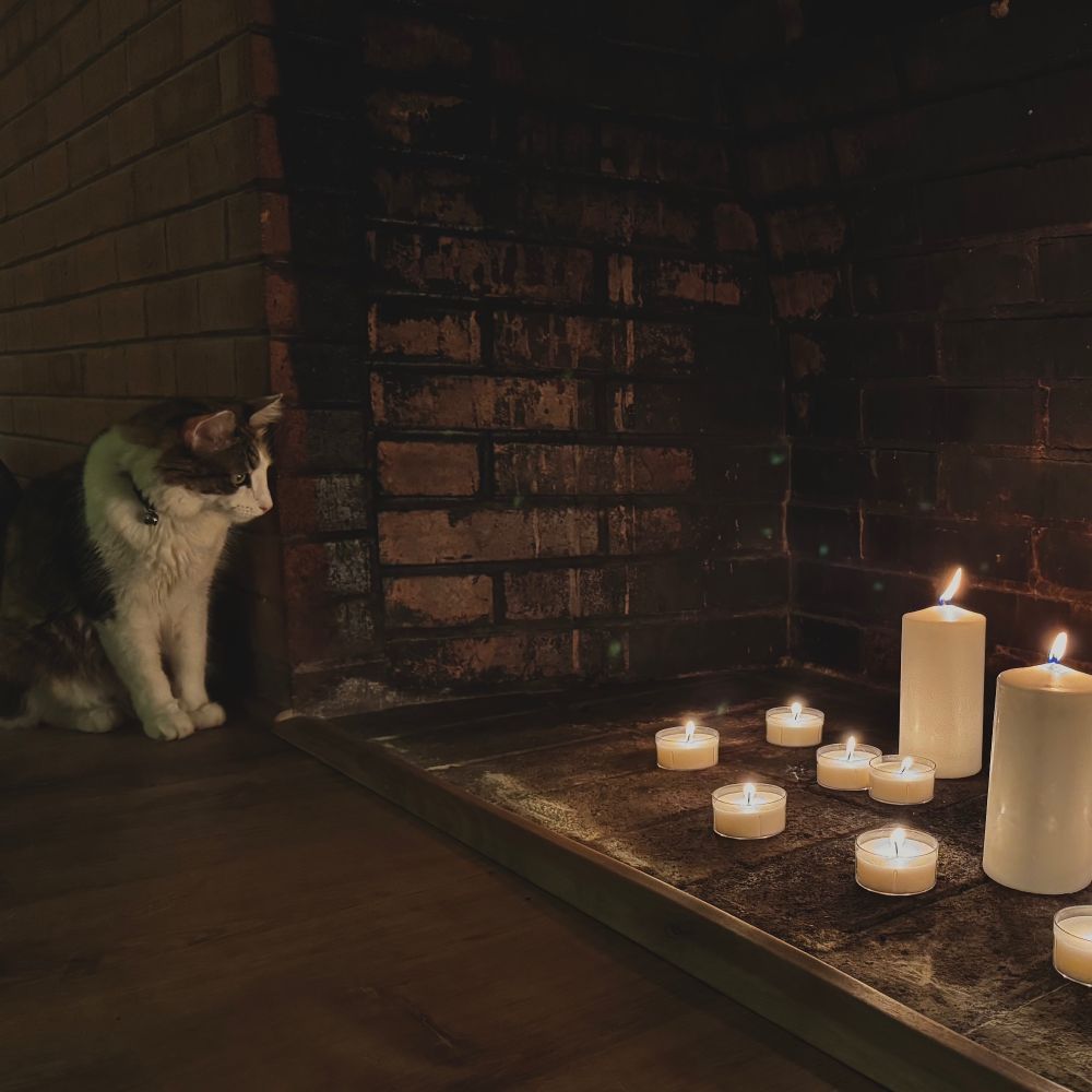 Calico cat sitting on the left looking into a brick fireplace full of lit white candles 