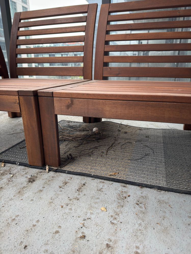 A birds next on a balcony below furniture, with one small egg.