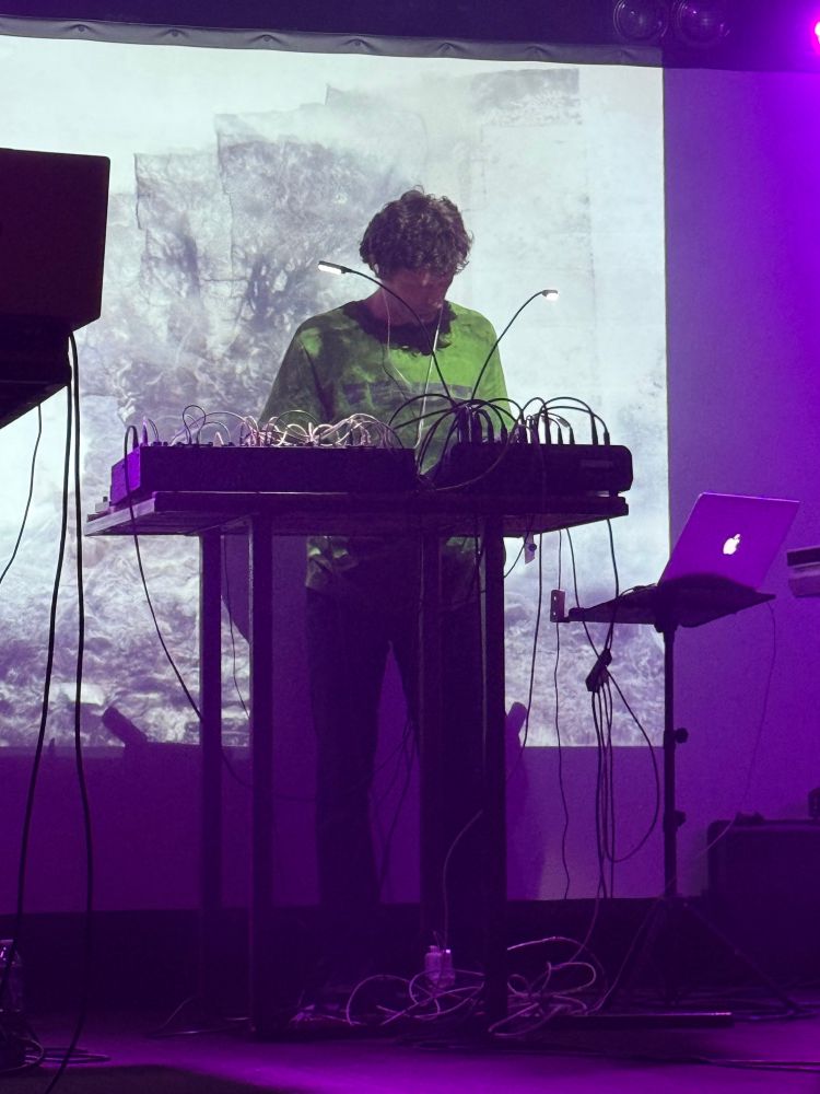 Swansither at Seventh Wave Festival Birmingham