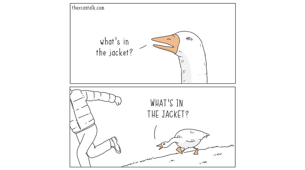 The Goose Chasing Guy meme! It shows a line drawing of a goose chasing a man wearing a goose-down puffer jacket and repeatedly asking him a question. In the example above the goose is asking “what’s in the jacket?” but when I was referring to it above the goose would have been asking “pedestrian almost hit by who? By who?”since these sort of posts almost never acknowledge that cars have people driving them and don’t just do bad, illegal, life-endangering things all on their own! 