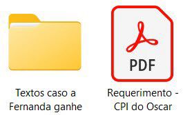 Print mostrando dois arquivos digitais:

Uma pasta, com o nome “Textos caso a Fernanda ganhe” e um arquivo PDF chamado “Requerimento - CPI do Oscar”. 