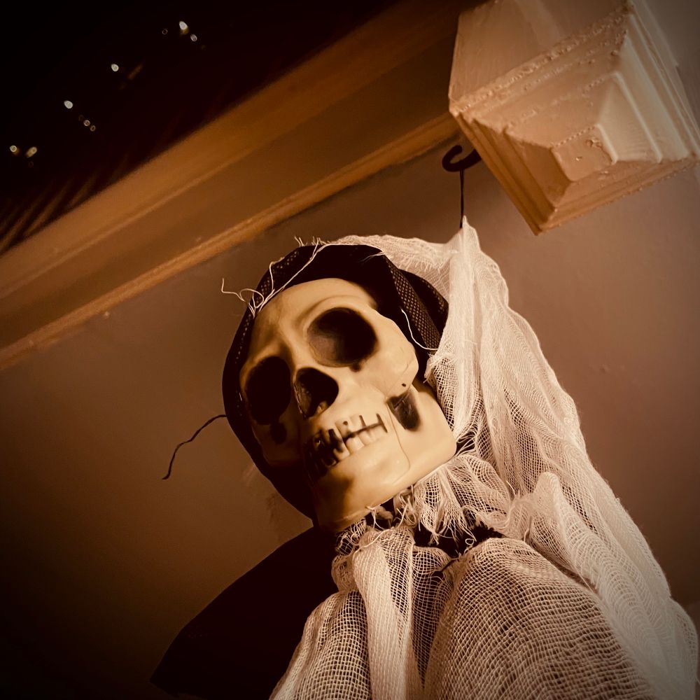 A skeleton hanging from a hook in a hallway, with an intense gaze into the distance…