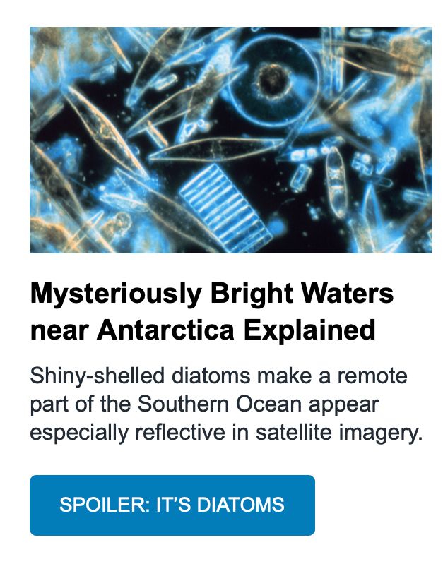 an advertisement for an AGU article that says, "Mysteriously Bright Waters near Antarctica Explained
Shiny-shelled diatoms make a remote part of the Southern Ocean appear especially reflective in satellite imagery.
SPOILER: IT'S DIATOMS"