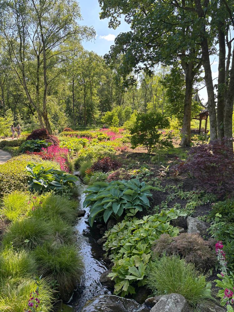 Chinese Streamside garden at RHS Bridgewater 