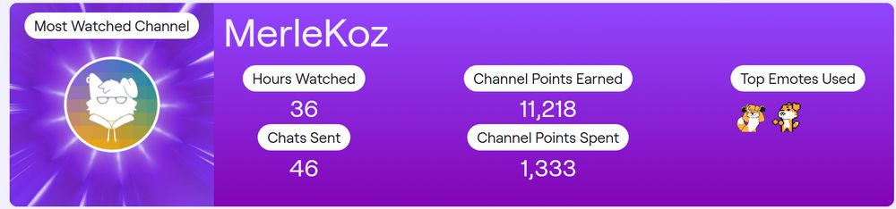 An image of Twitch Recap, saying that MerleKoz was watched for 36 hours, with 46 chats sent.
