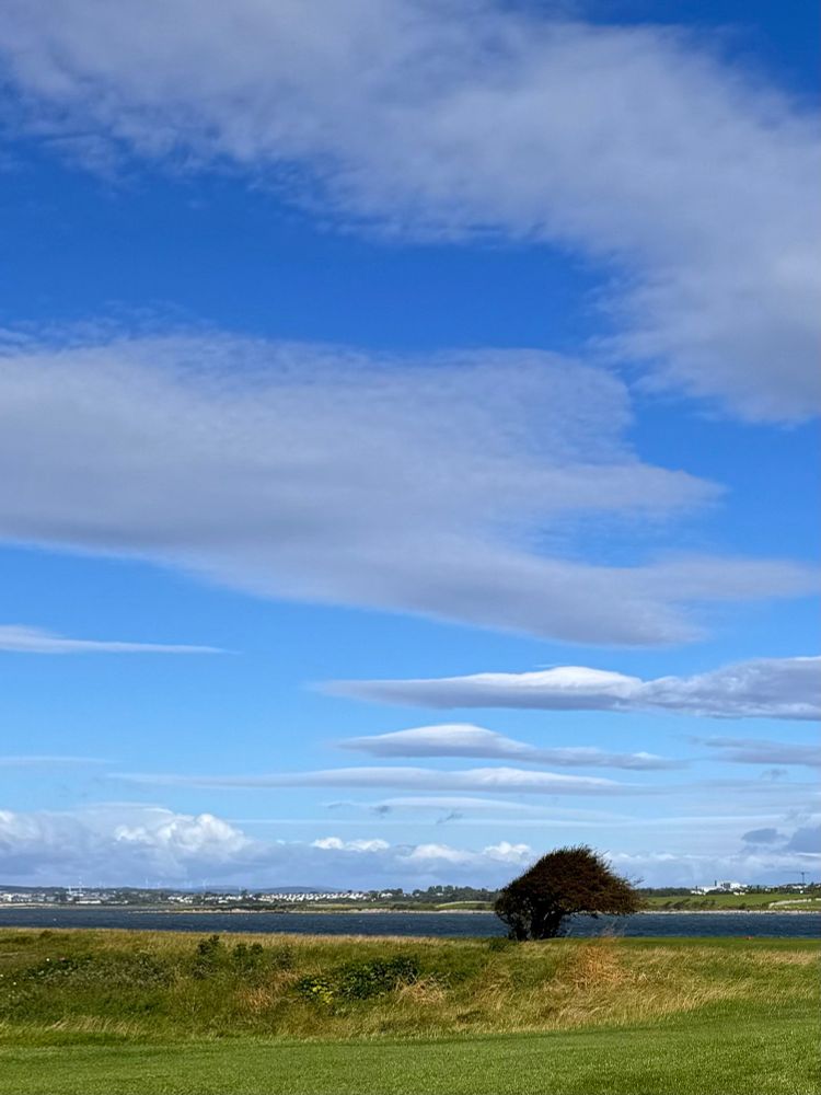 Variety of fast-moving clouds over Galway Bay, grass and tree in the foreground. 