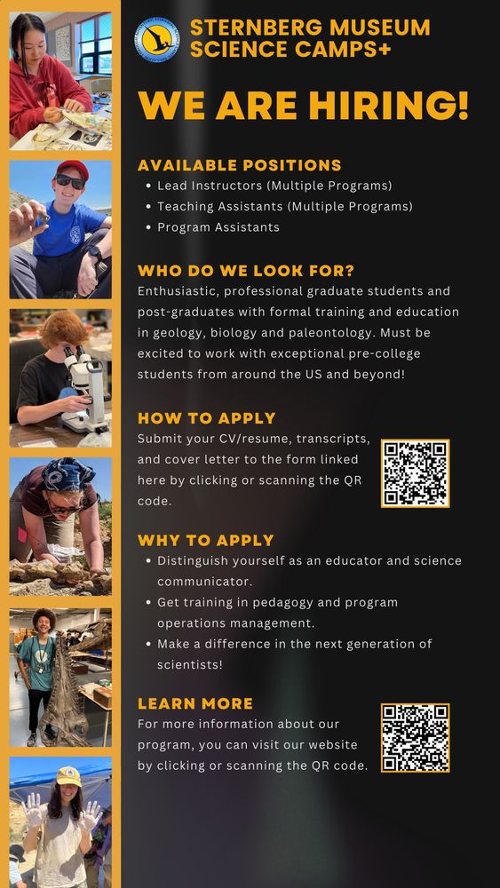 Informational flier about staff positions for the 2025 Sternberg Museum Science Camps+ program. Instructor and TA jobs available!