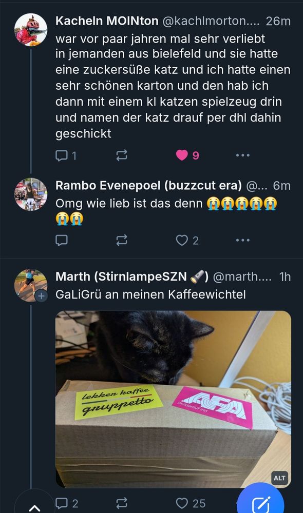 der ausgangspost in der timeline, der nächste post von einem anderen user zeigt ein foto auf dem eine katze und ein paket zu sehen sind 
