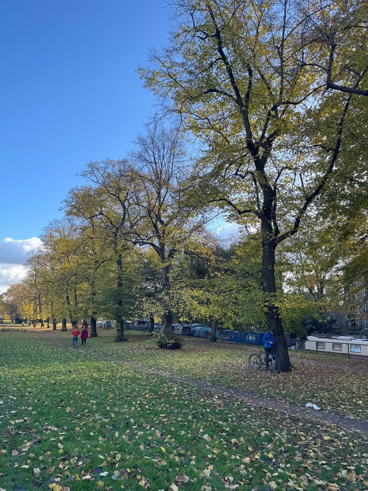 Autumn trees by Regent’s Canal