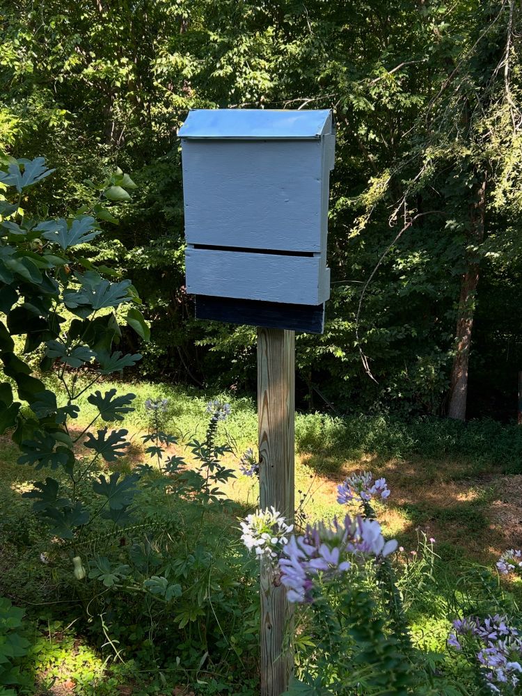 A rectangular box is attached to a 4 by 4 post on a hill. It is surrounded by flowers and there are trees in the background. The bat box is a thin box with a slit in the lower third of the box (for air). 