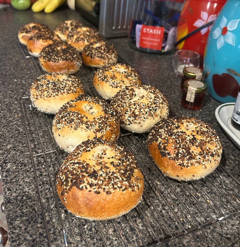 Twelve bagels with “everything” seasoning sit on wire racks on a counter to cool. 