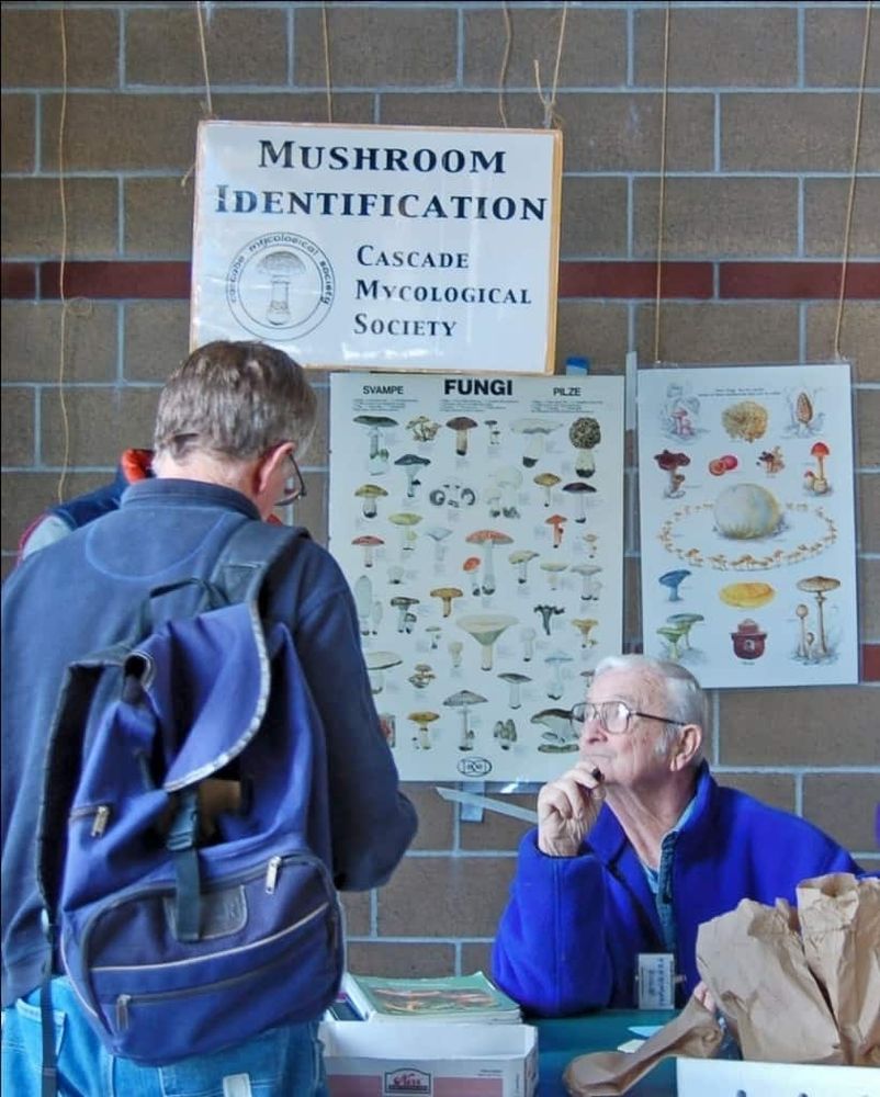 A mushroom identification booth run by the Cascade Mycological Society. Teacher Freeman Rowe, an older man in a blue jacket and glasses, is seated at the booth, speaking to someone with a backpack. Posters displaying mushroom species hang on the wall, with a sign reading 'Mushroom Identification' above the table.