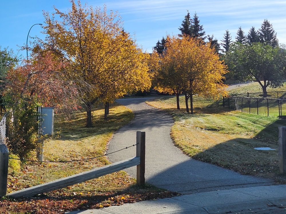 Parkland off of Millview Bay SW