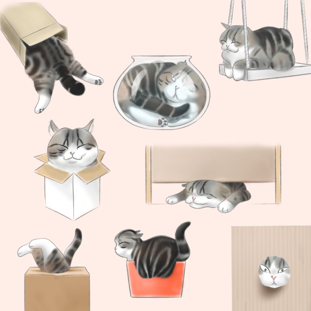 Multiple illustrations of a grey and white tabby Scottish Straight cat called Maru, in various poses which made him internet-famous before he died aged 18 earlier this week. These include sitting in small boxes, curled up in a fishbowl, sitting on a swing and attempting to get through tiny holes and gaps.