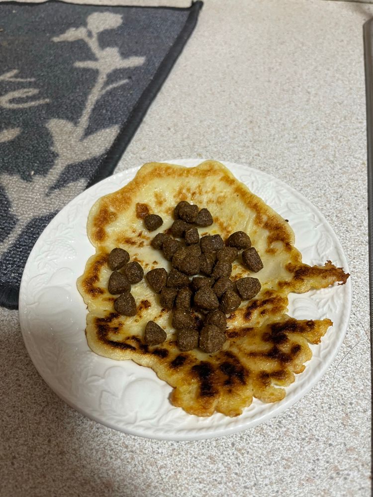 A small pancake on a plate, covered in dog biscuits 