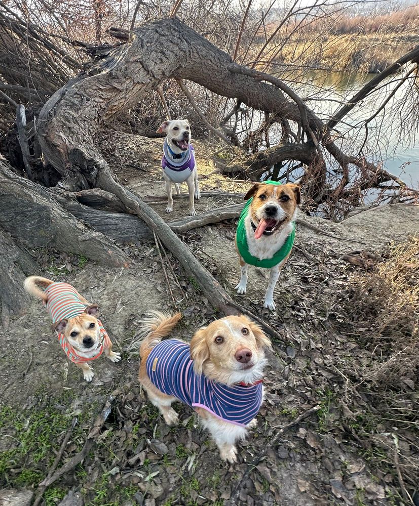 It’s swedda wedda days! 