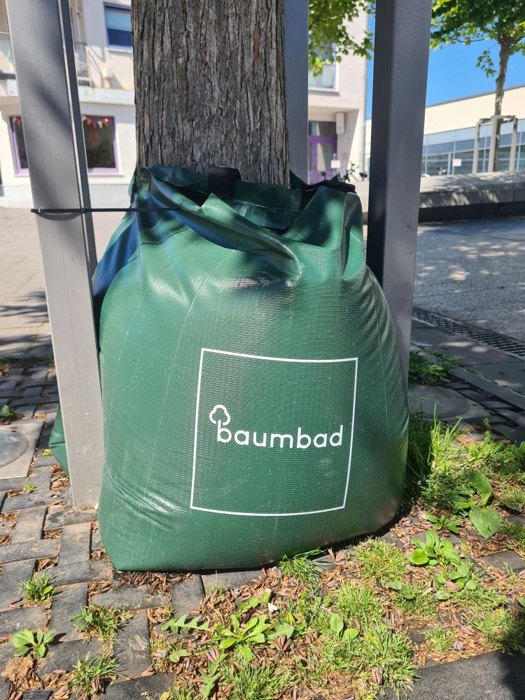 Ein Baum steht in einem grünen Wassersack mit dem Logo "Baumbad".
