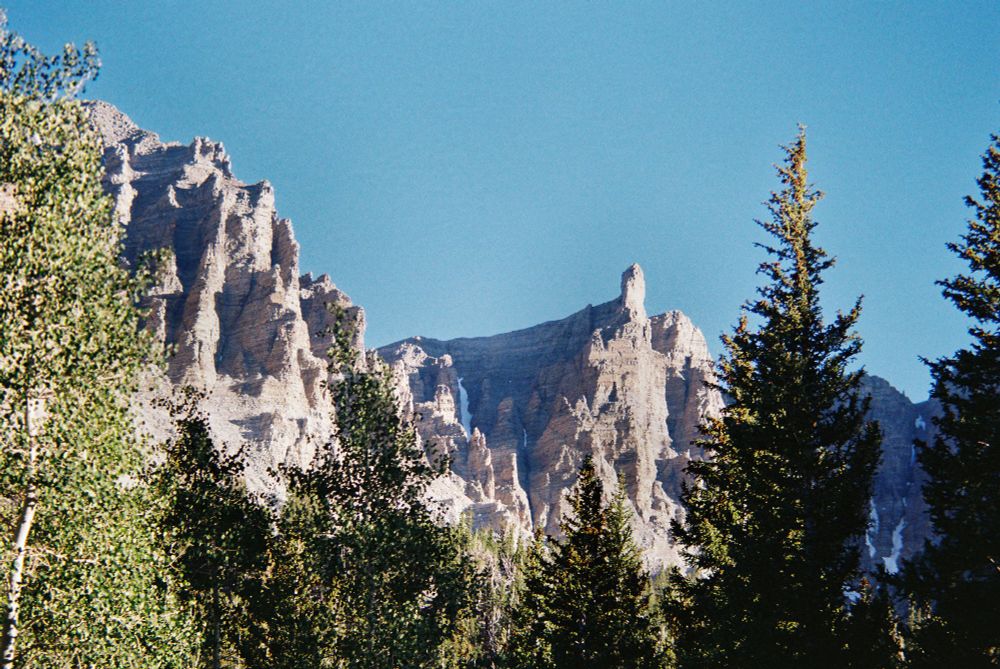 Rugged mountain scenery, with aspen and pine trees in the foreground