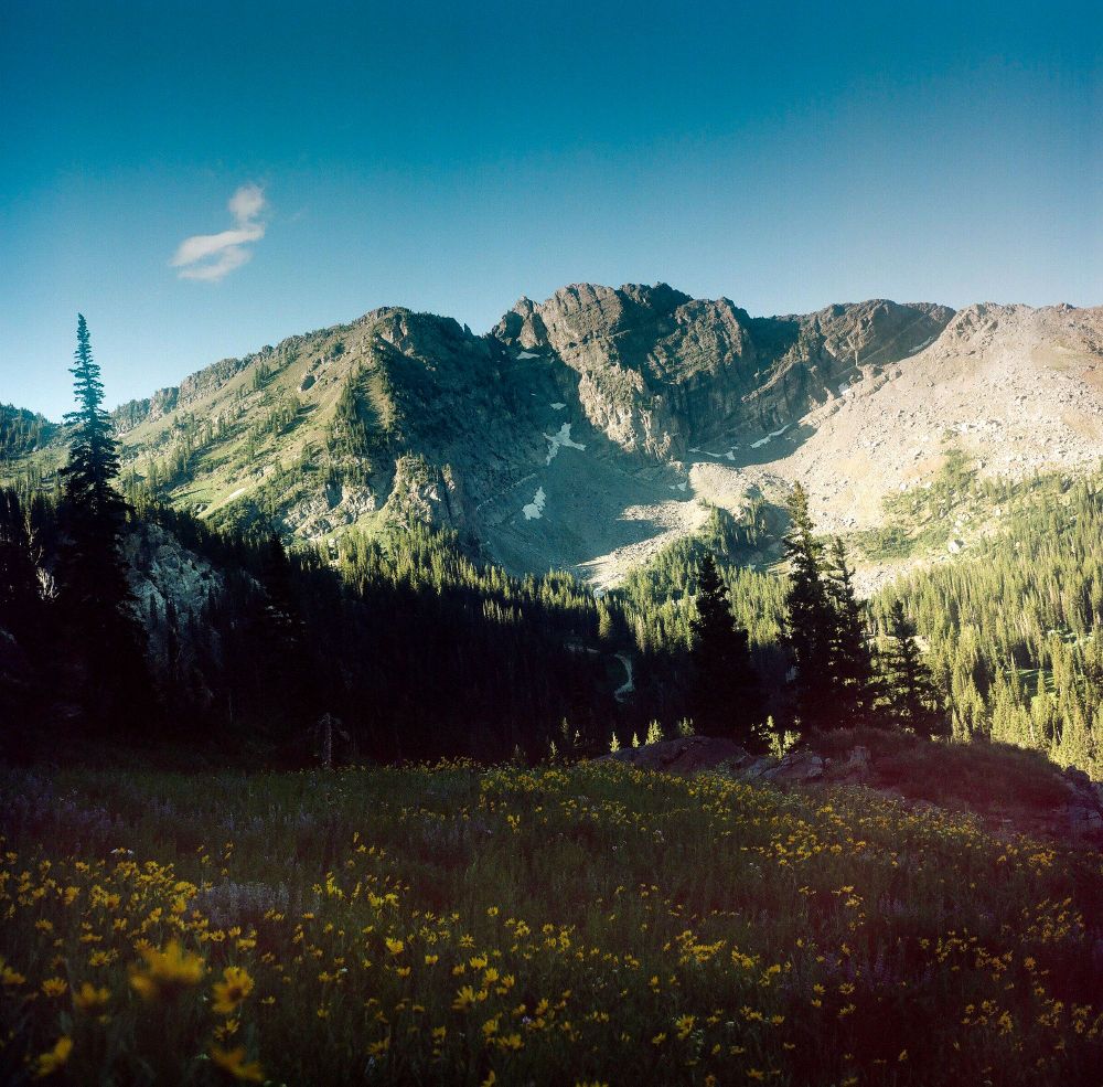 Shaded meadow with yellow wildflowers. A sunlit mountain ridge is in the background.

Yashica MAT 124 with Kodak Portra 160, f/11, 1/500 sec