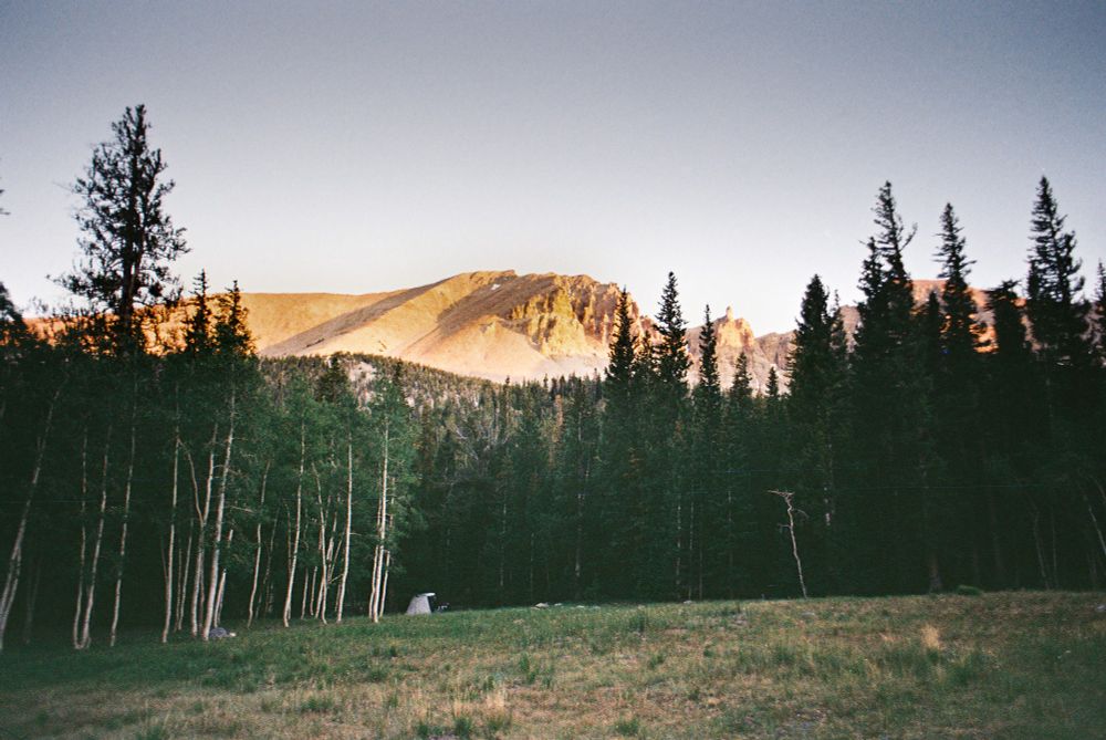An alpine meadow, with aspen and pine and a mountain in the background.