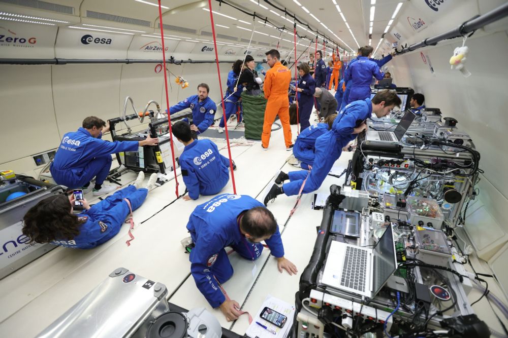 Diversi team scientifici conducono esperimenti all'interno di un aereo Air Zero-G durante un volo parabolico lunare che simula la gravità lunare. Crediti: Novespace