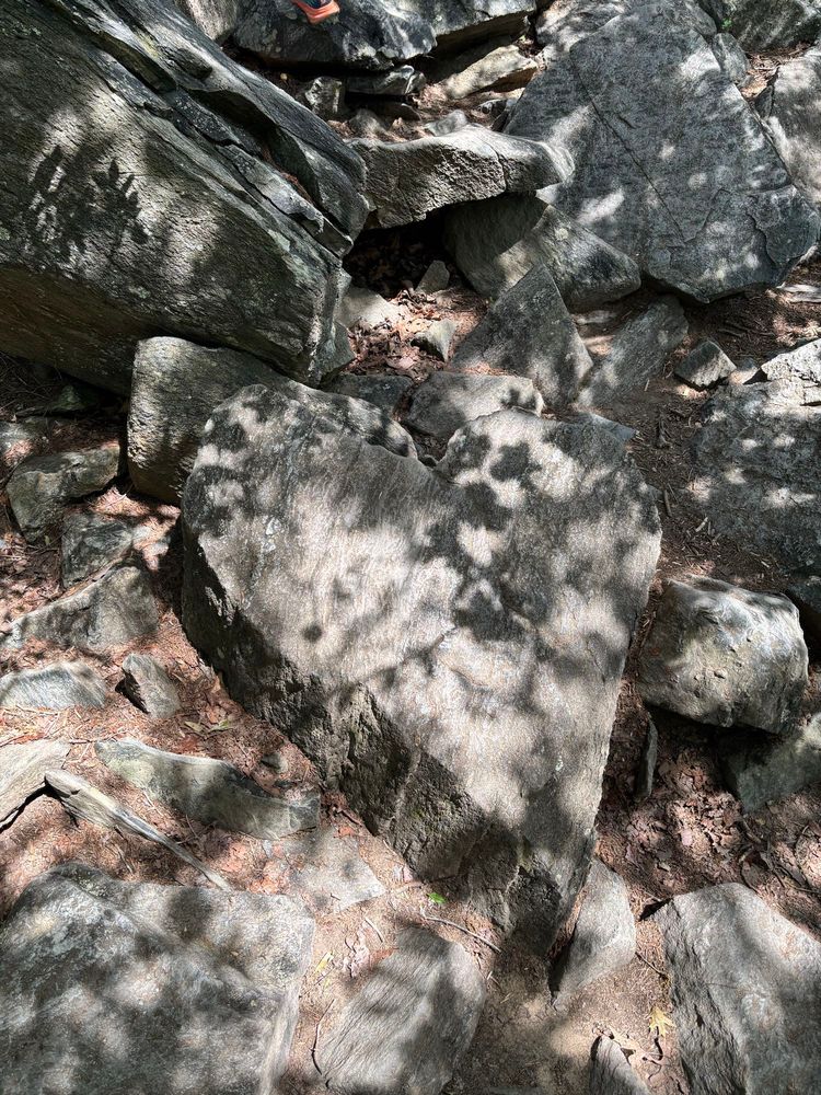 A heart-shaped rock.
