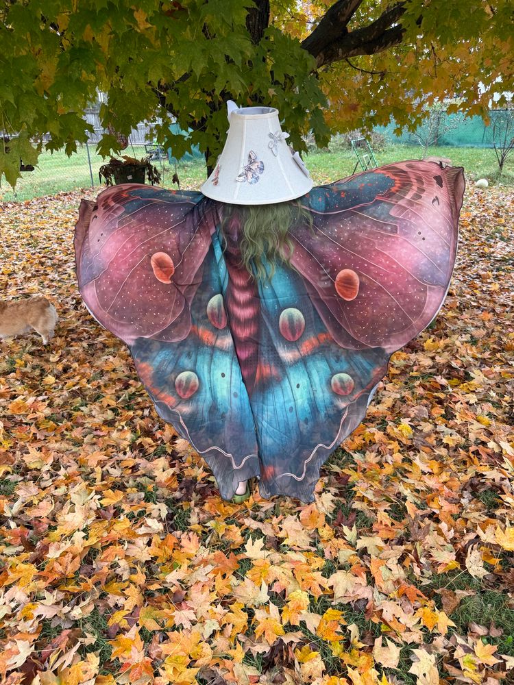 View from behind: I have a moth wing cape on 