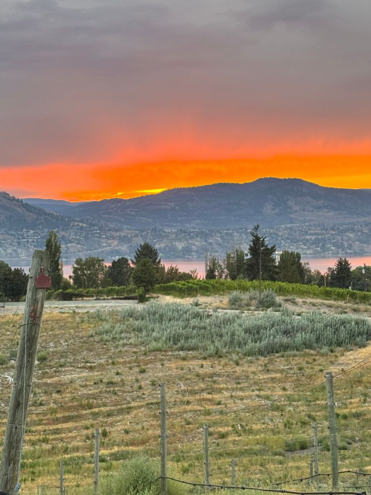 It’s a pretty damn orange sunset in the Okanagan Valley 