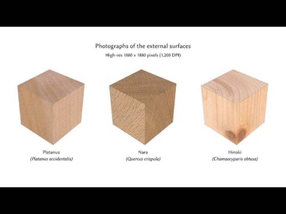 The Mokume Dataset and Inverse Modeling of Solid Wood Textures (Technical Paper, SIGGRAPH 2025)