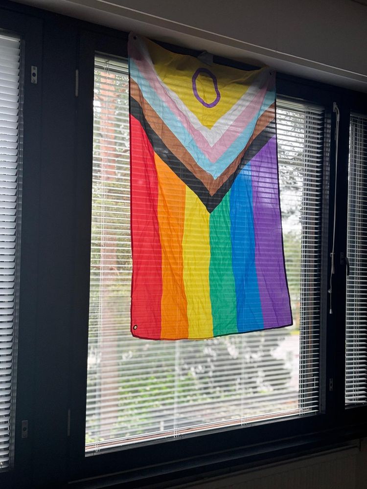 Pride-lippu ikkunassa.
