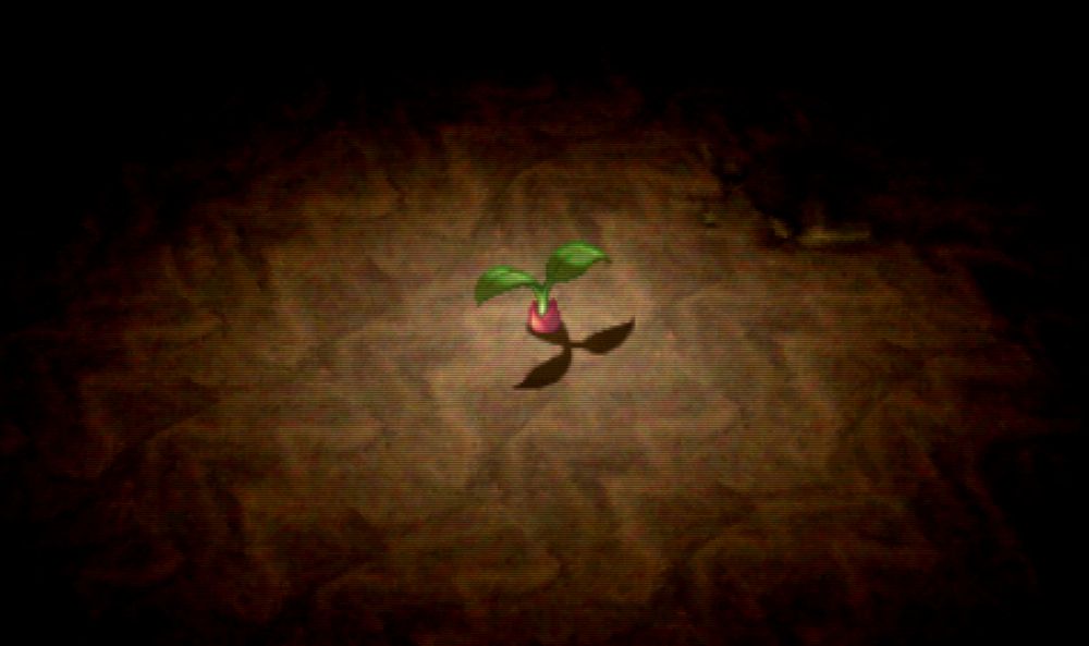 A plant starting to grow from the sands.