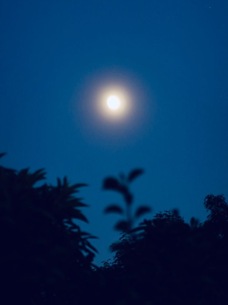 Evening Moon
August 6, 2025
