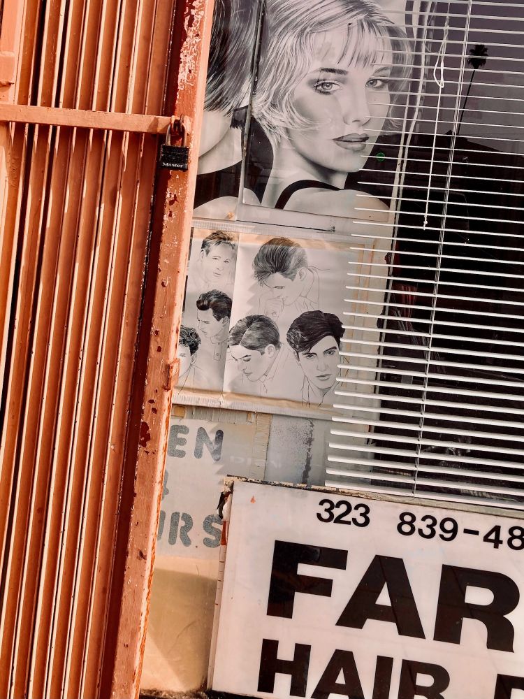 Hair
Harvard Boulevard
Los Angeles, California