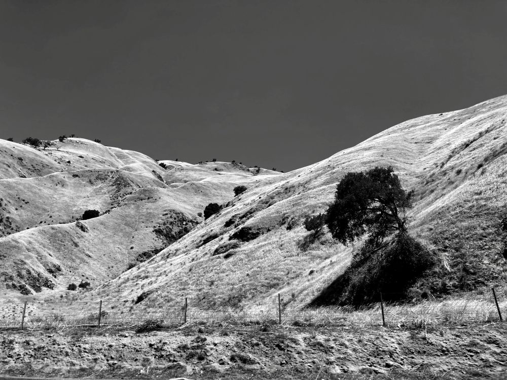 Tejon Pass
Los Angeles County, California