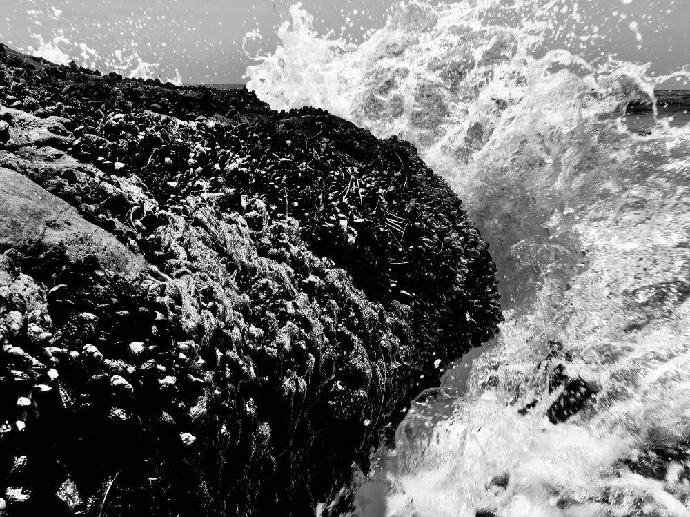 Rock and Water
Carpenteria, California