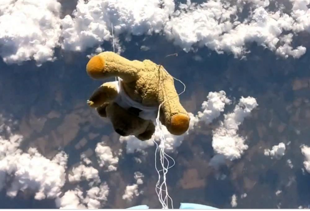 Ted Bull Stratos: Bär schlägt Baumgartner Mit einem Wetterballon schickte David Akerman einen Plüschbären auf eine Absprunghöhe von 39 Kilometern - ausgerüstet mit Kamera, Minicomputer und GPS-Sender. (c) Dave Akerman 20.10.2013 um 23:38 Er stieg höher als Felix Baumgartner beim 