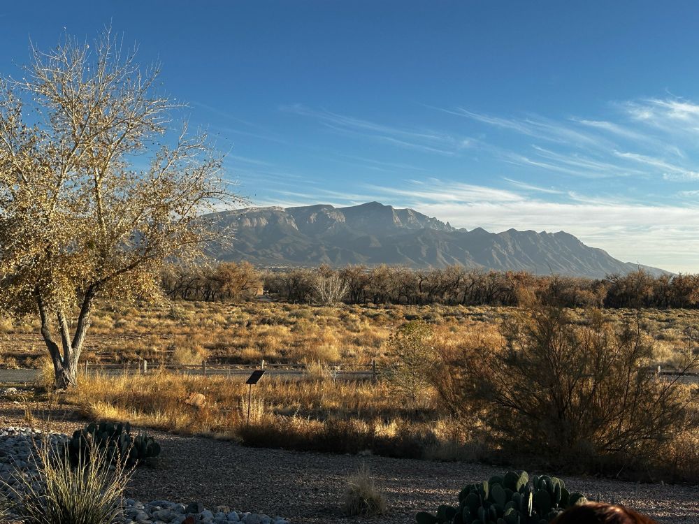 Picture of mountains in Albuquerque, NM 