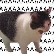 Gato com expressão de pânico gritando, com fundo repetindo a letra “A” para representar um grito desesperado.