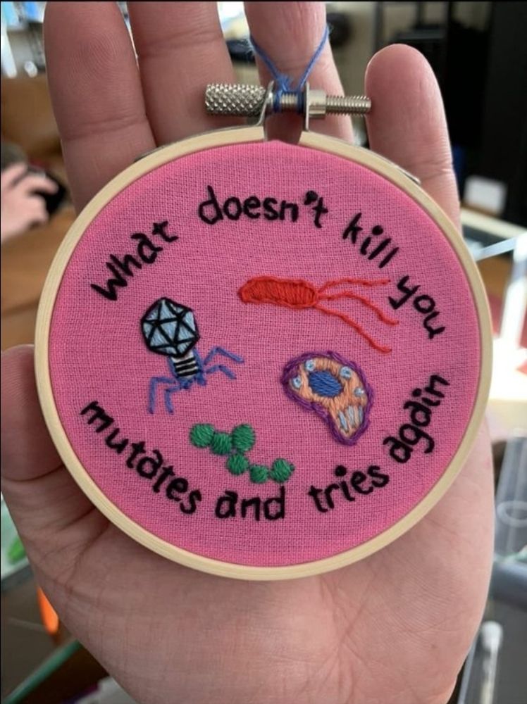 Photo of a small needlepoint hoop with pink fabric resting in someone's open palm. Various colorful germs and viruses are embroidered on the piece with text curved around the top and bottom that says, "What doesn't kill you, mutates and tries again."