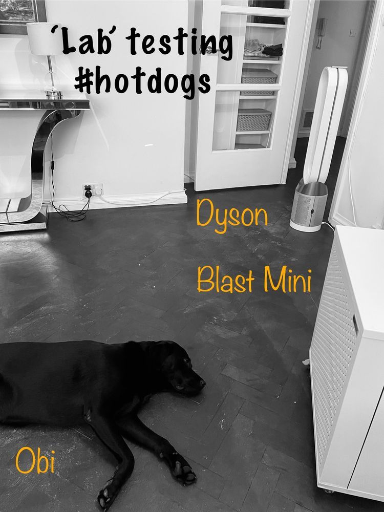 A black-and-white photo showing a black Labrador named Obi lying stretched out on a the floor. Nearby are two air purifiers: a Dyson tower fan-style purifier in the background and a the Blast Mini purifier in the foreground. The caption reads: “‘Lab’ testing #hotdogs” with playful yellow labels pointing to "Obi", "Dyson", and "Blast Mini".