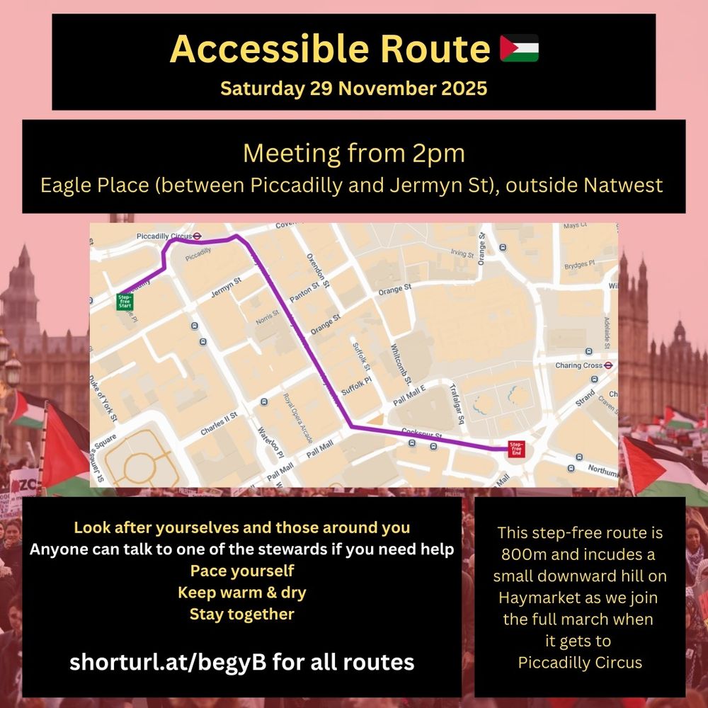 Map showing accessible route for (British) National March for Palestine, London, 29 November 2025. 