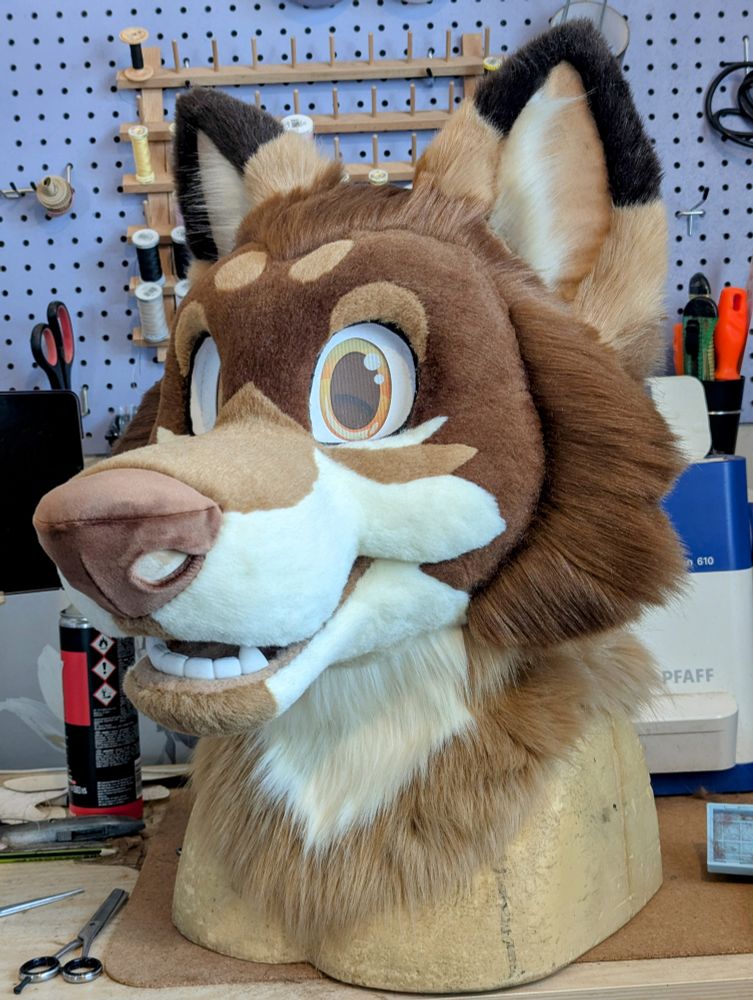 A tan, brown and cream coyote toony fursuit head in the final stages of construction