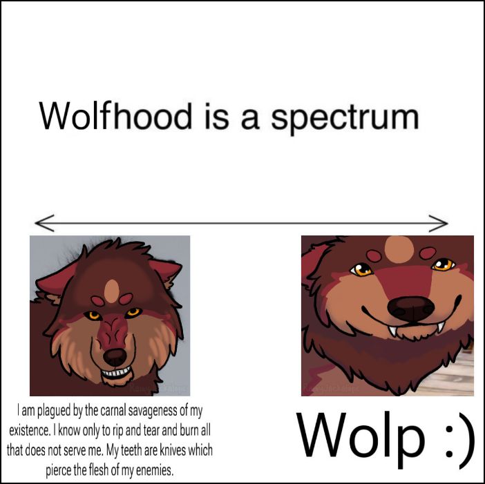 A meme with two photos of wolves on it that have been drawn over to look like my fursona, a brown and red wolf. The meme title says "Wolfhood is a spectrum" and under it is a double sided arrow pointing to the left and right sides of the image. The left arrow side has an image of my fursona snarling and dramatically shaded. The caption under it says "I am plagued by the carnal savageness of my existence. I know only to rip and tear and burn all that does not serve me. My teeth are knives which pierce the flesh of my enemies." The right side image is my fursona looking cutely up at a camera smiling with twinkling eyes. The caption under it says "Wolp :)"