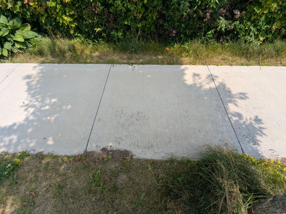 Shadow of a tree across the sidewalk