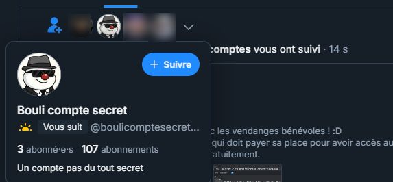 Mes notifs dans lesquelles on voit que @boulicomptesecret me suit depuis quelques minutes