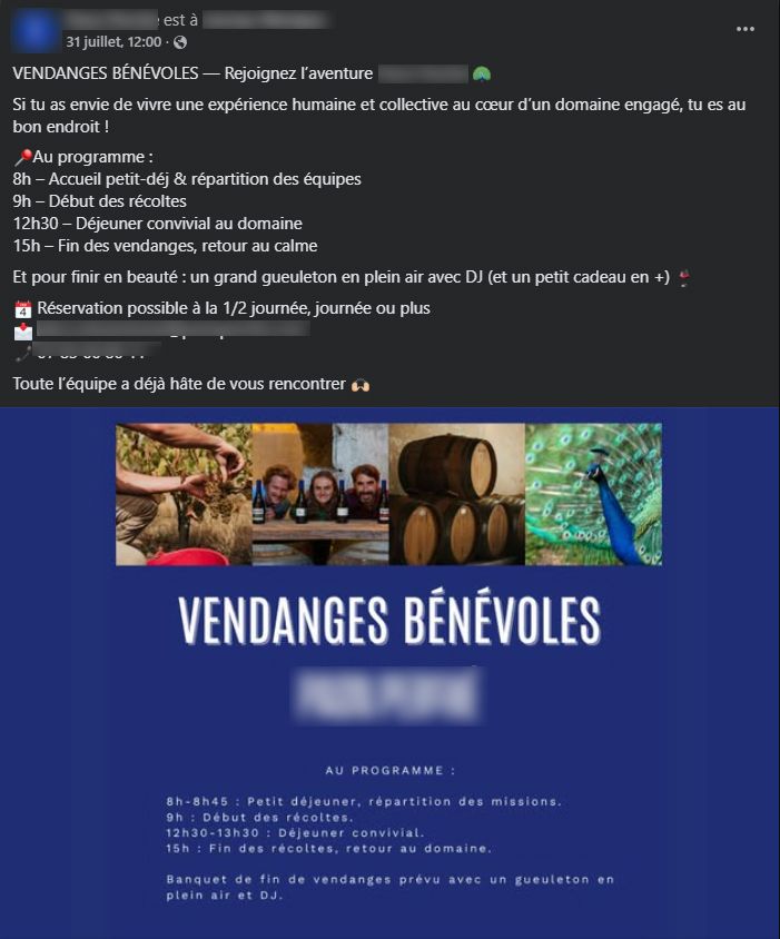 est à
31 juillet 12:00-
VENDANGES BÉNÉVOLES - Rejoignez l'aventure
Si tu as envie de vivre une expérience humaine et collective au cœur d'un domaine engagé, tu es au bon endroit !
Au programme:
8h - Accueil petit-déj & répartition des équipes
9h - Début des récoltes
12h30 - Déjeuner convivial au domaine
15h - Fin des vendanges, retour au calme
Et pour finir en beauté : un grand gueuleton en plein air avec DJ (et un petit cadeau en +)
Réservation possible à la 1/2 journée, journée ou plus
Toute l'équipe a déjà hâte de vous rencontrer
VENDANGES BÉNÉVOLES PAON PERCHÉ
AU PROGRAMME:
8h-8h45: Petit déjeuner, répartition des missions.
9h: Début des récoltes.
12h30-13h30: Déjeuner convivial.
15h: Fin des récoltes, retour au domaine.
Banquet de fin de vendanges prévu avec un gueuleton en plein air et DJ.