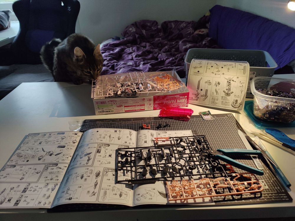 a photo of assembly of a gundam hg fawn farcia. lena the cat is sniffing the runners