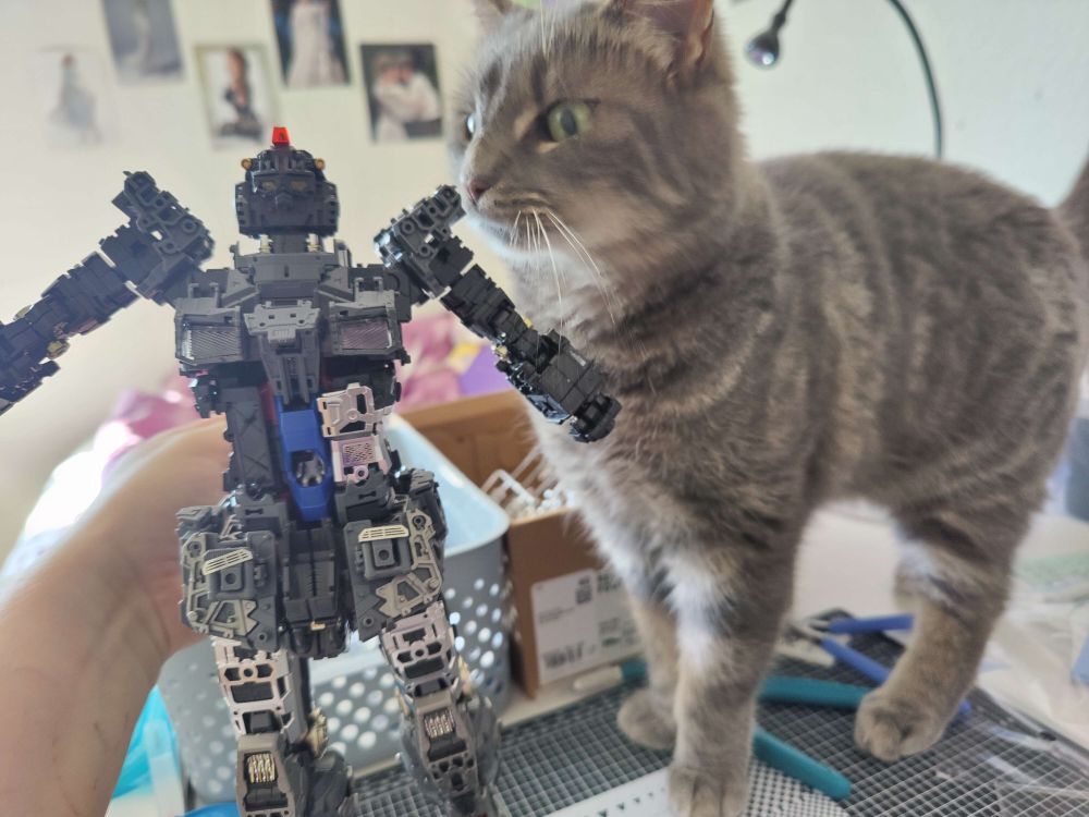 gullet the cat sniffing a gundam model in progress