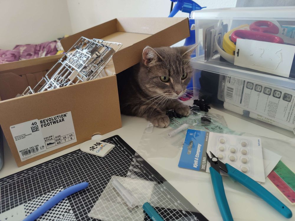 gullet the cat assisting in building a gundam model by sitting on the desk