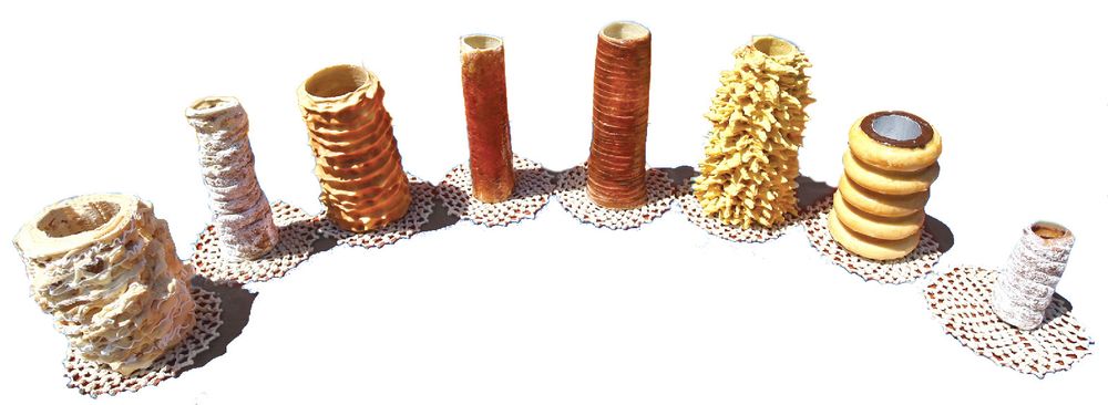 La famille des gâteau à la broche européens, cf la fiche wikipédia liée dans le blousque 